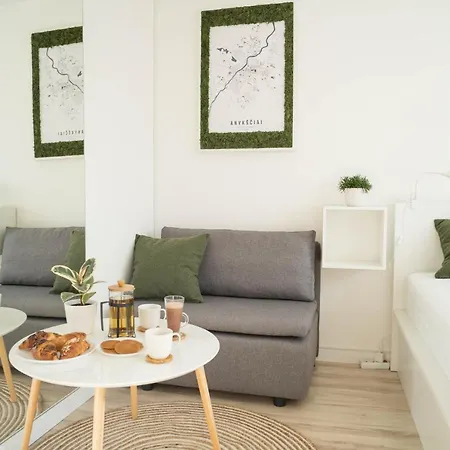 Cia Gera Studio Apartment Anyksciai Exterior photo