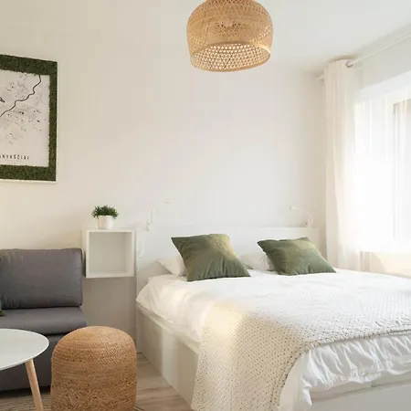 Cia Gera Studio Apartment Anyksciai Exterior photo